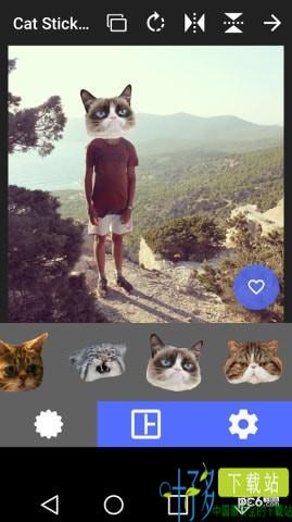 猫头贴纸app