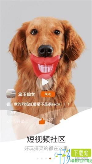 它嗅宠物app下载