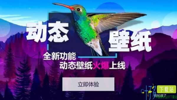 360小鸟壁纸app