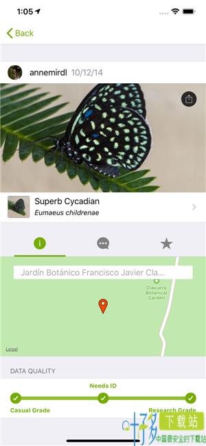 iNaturalist