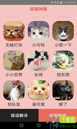  火猫猫语app下载