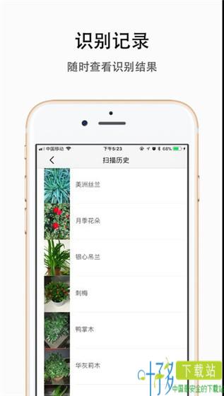 植物识别app下载