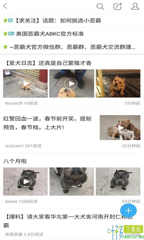 猛犬俱乐部