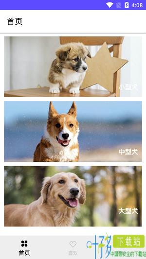  狗狗图鉴 