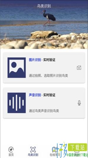 图音识鸟